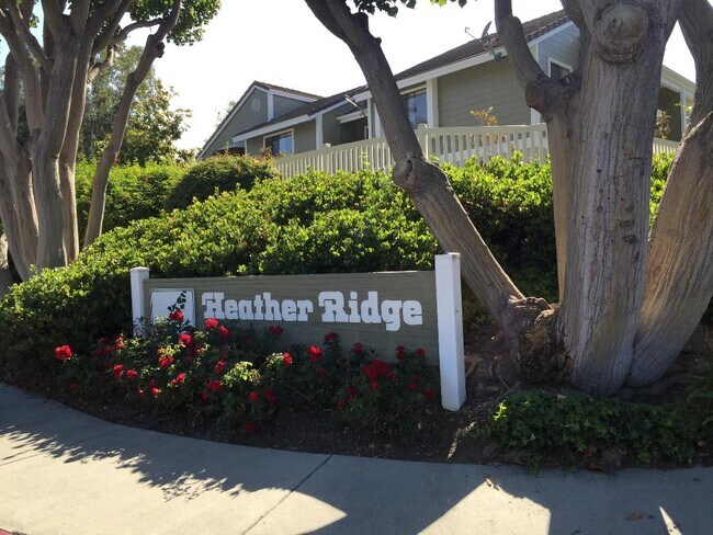 Heather Ridge Complex - 46 Bramble Ln