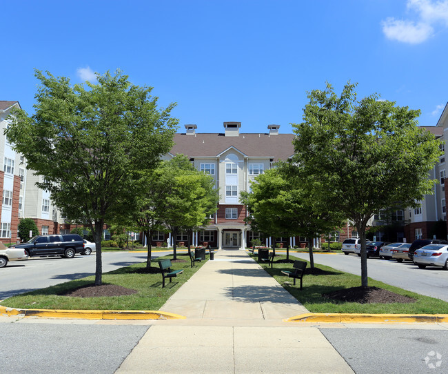 Foto del edificio - Windsor Crossing Senior