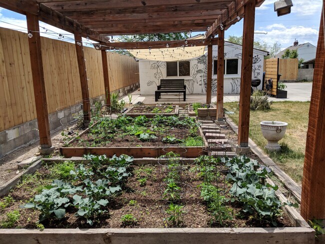 Photo - 3151 800 E Apartment