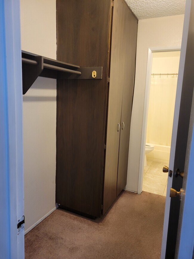 Walk through closet - 4060 Huerfano Ave