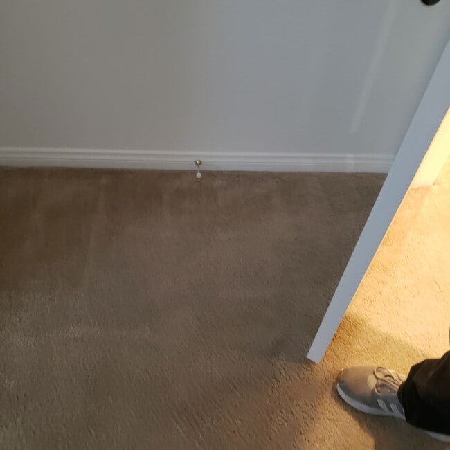 Foto del edificio - BEAUTIFUL ROSETTA CANYON 45014 Anabel Lane Lake Elsinore