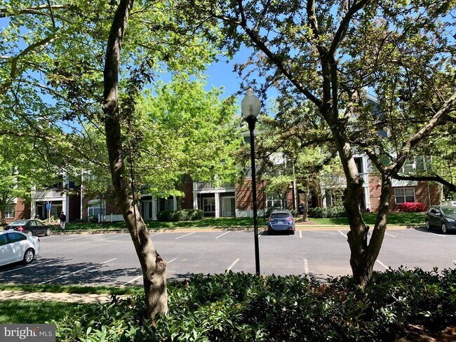 Foto del edificio - 20301 Beechwood Terrace