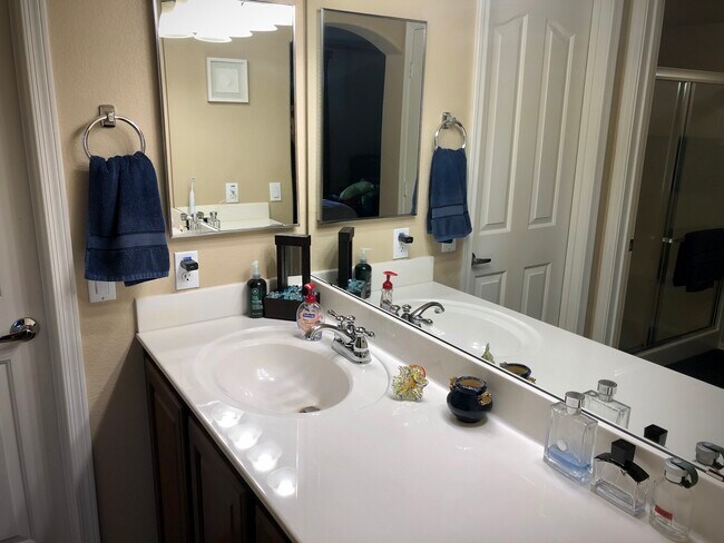 Master Bathroom - 2401 E Rio Salado Pky