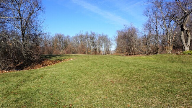 Maravilloso espacio abierto - 217 Deer Run Trail