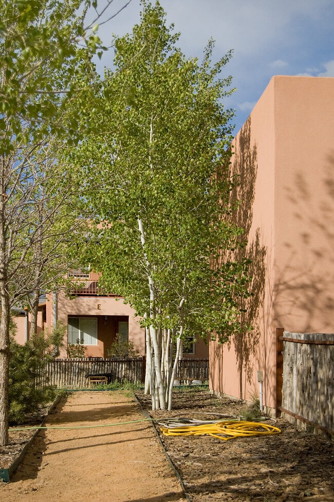 Building Photo - Loma Parda 55+