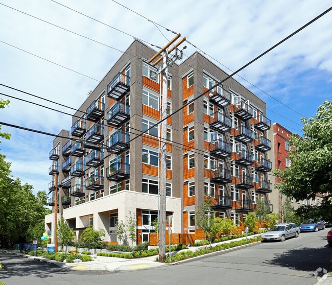 Building Photo - The Perch - Elevated Urban Living in the H...