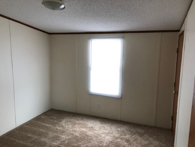 Building Photo - Large 16x80 Singlewide Mobile Home in Pine...