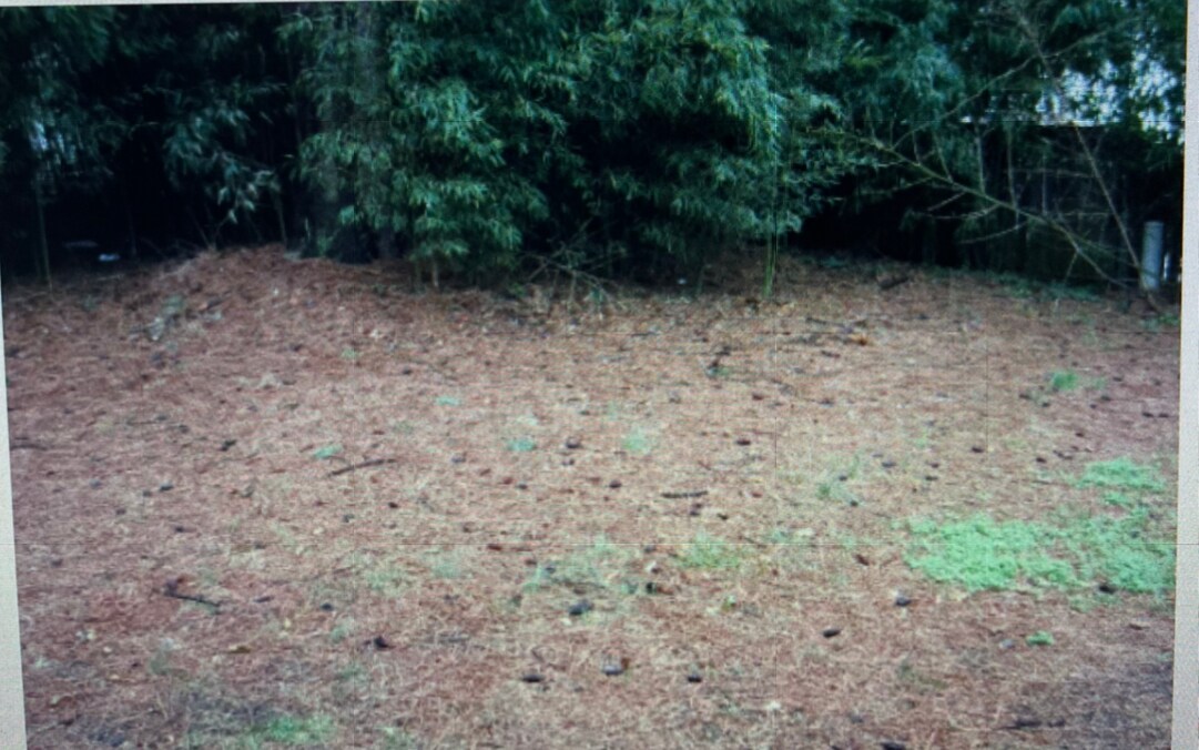 backyard - 8831 Chapel Hill Rd