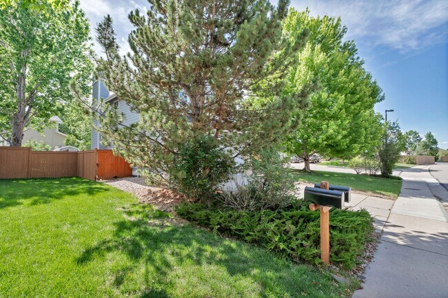 Building Photo - Spacious Home in Castle Rock