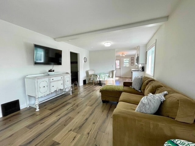 Open Concept- Living Room - 1215 E Adeline Ave