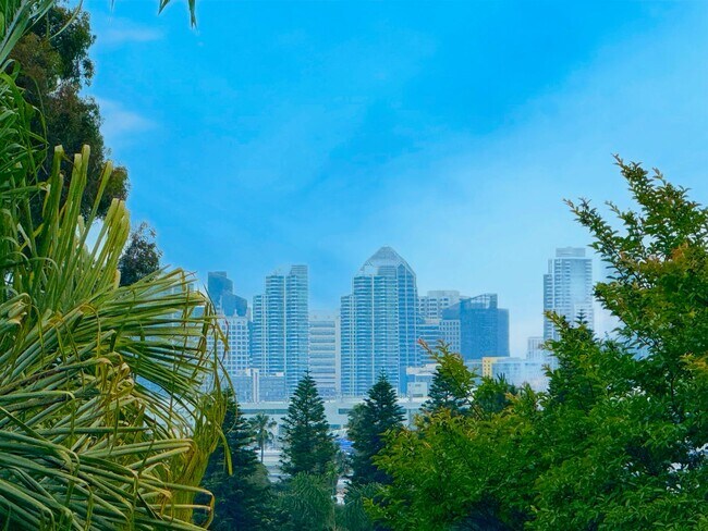 Foto del edificio - Welcome to your Contemporary Casita in the heart of Point Loma!