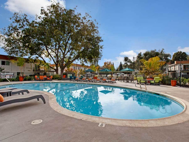 Beautiful Resort Style Pool - The Davenport