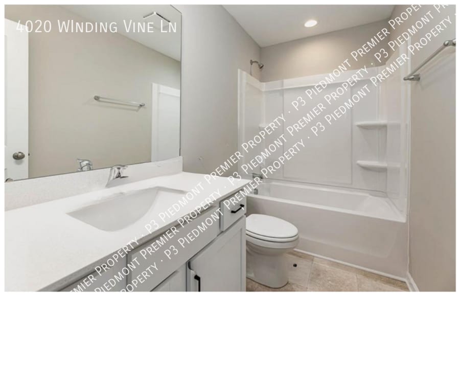 Building Photo - 4020 WInding Vine Ln
