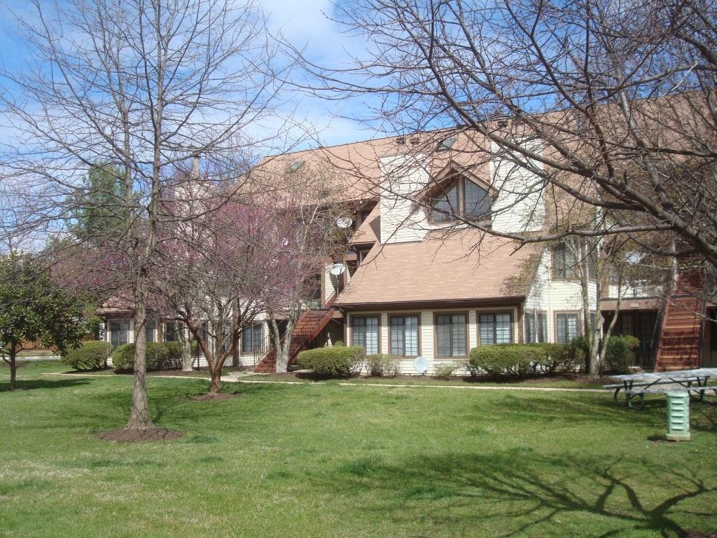 6012 Curtier Dr Unit F, Franconia, VA 22310 Condo for Rent in