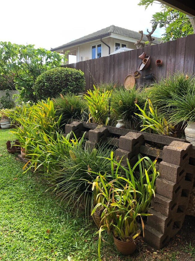 Building Photo - COZY 1/1/1 COTTAGE LOCATED LOWER-MANOA BY ...
