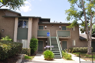 Rosewood Apartments photo'