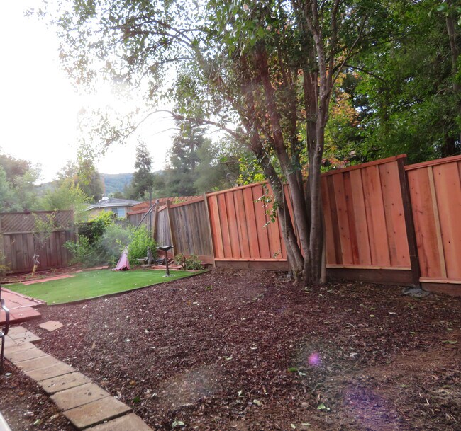 Back yard - 39 Montgomery St