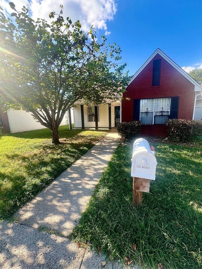 Buena Vista Cottage for Rent! - Buena Vista Cottage for Rent! House