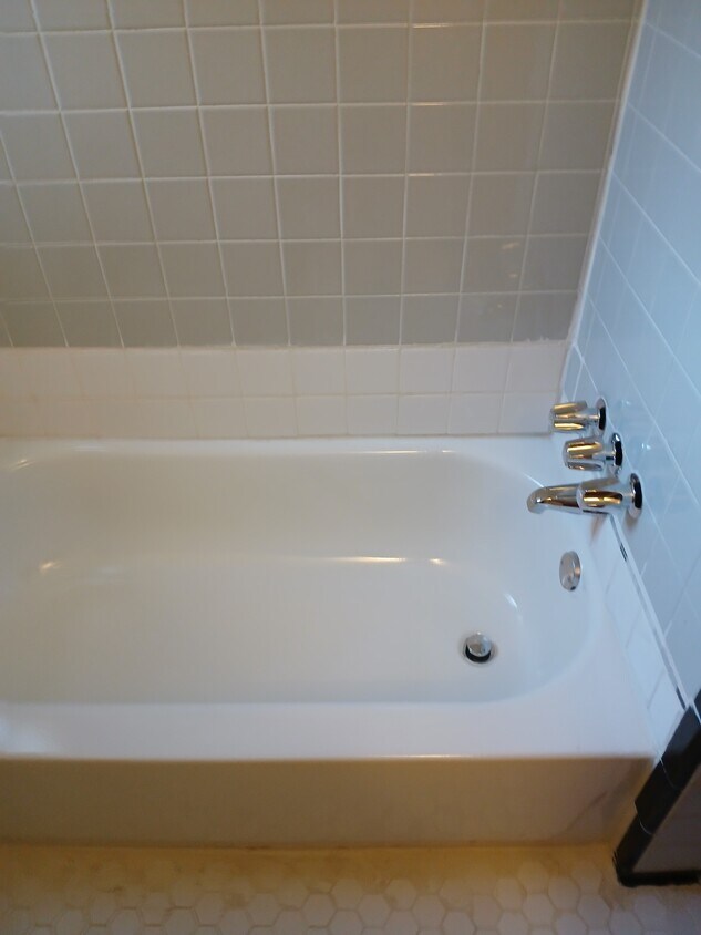 9501 Brace St, Detroit, MI 48228 Townhome Rentals in Detroit MI