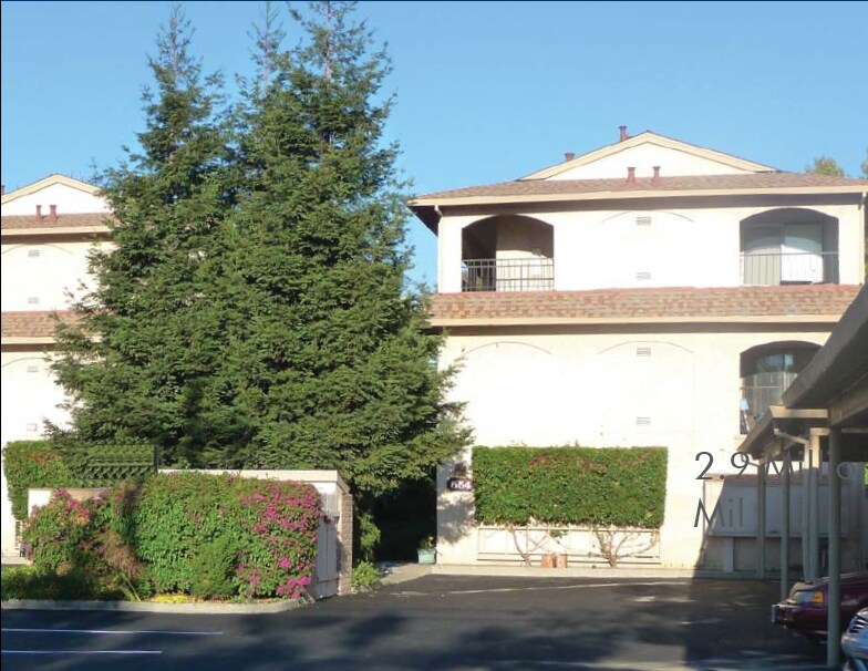 Willow Tree Apartments 554 Bancroft Ave San Leandro, CA