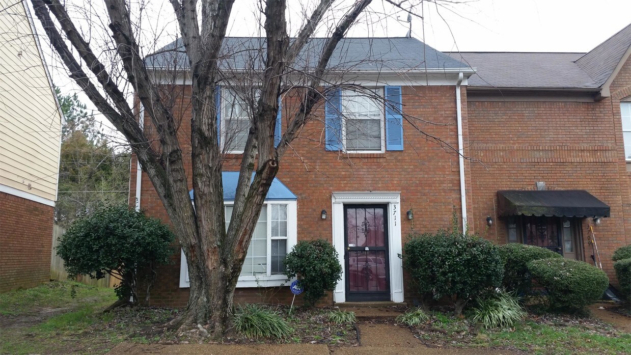 Primary Photo - 3711 Deer Forest Dr
