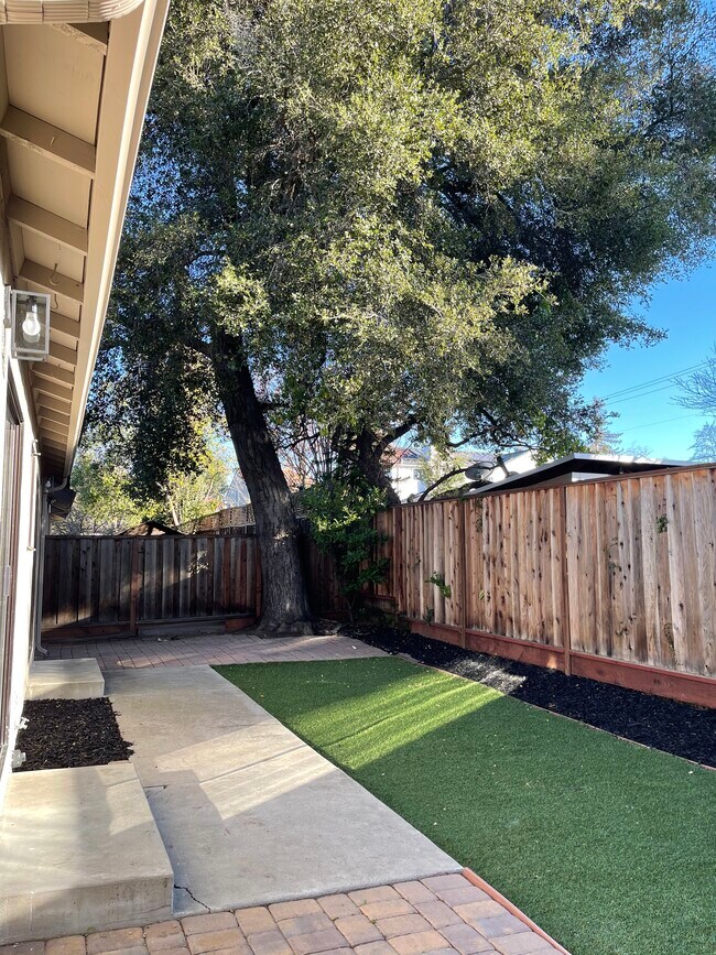 Backyard - 4134 Abel Ave
