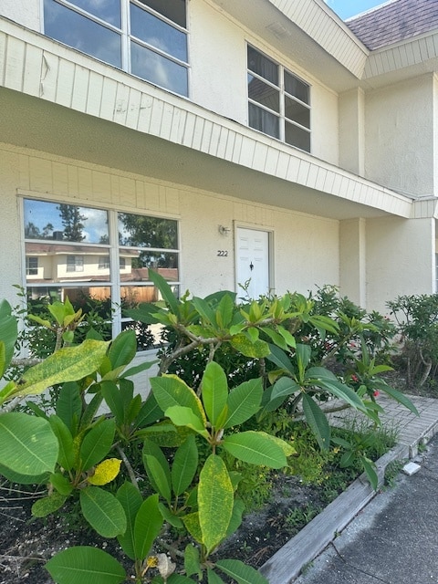 garden in front - 222 Barlow Ave