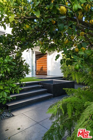 Foto del edificio - 1482 Blue Jay Way
