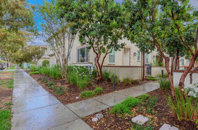 Street-Side Walk Way - 3250 E Yountville Dr