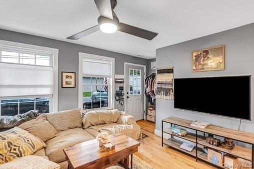 Building Photo - 43 Bruen Pl