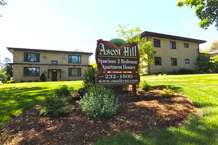 Primary Photo - Ascot Hill