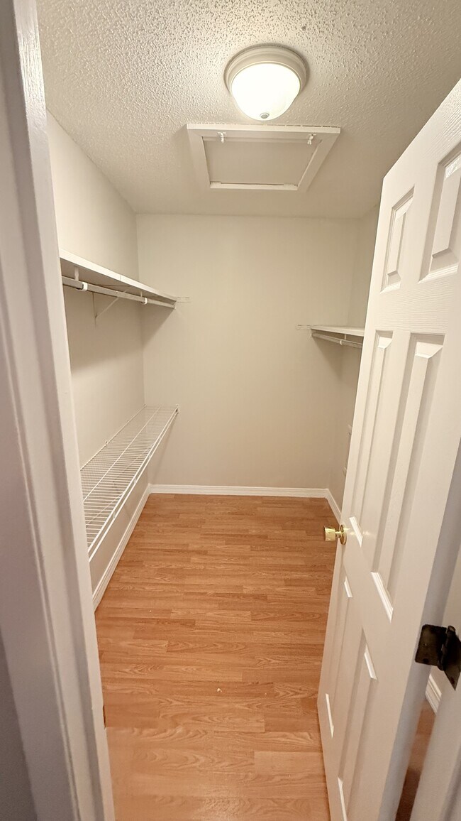 Building Photo - 937 Breezewood Cir