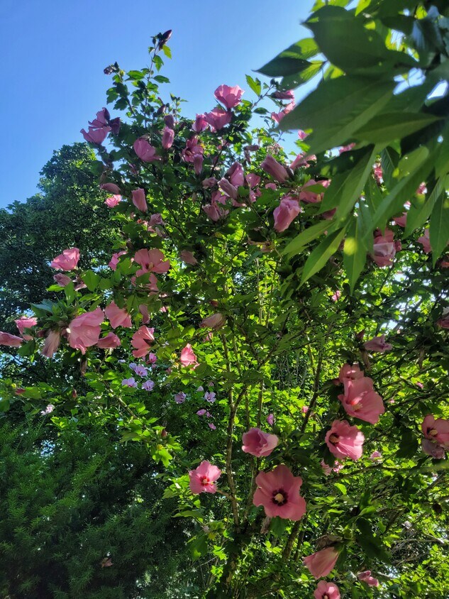 Foto del edificio - 15 Roosevelt Ave