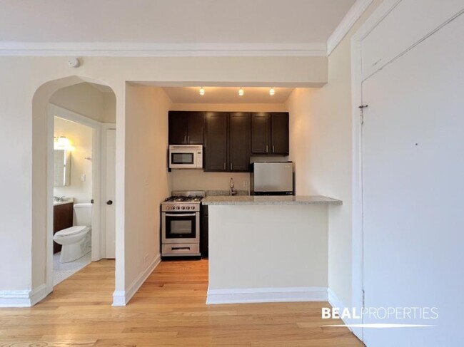 Foto del edificio - 0 bedroom in CHICAGO IL 60640