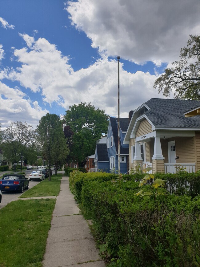 Building Photo - 115 7th Ave