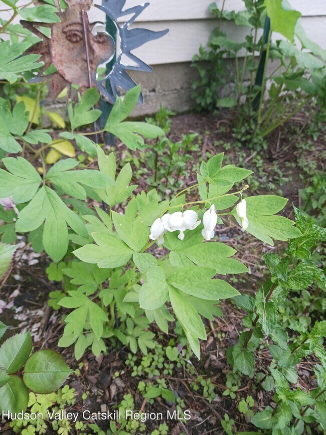 Foto del edificio - 542 Lakeview Terrace