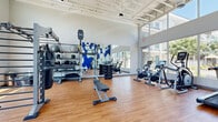 Located at 5300 E Washington St in Phoenix, AZ, this fitness center offers a thoughtfully designed workout space across a single floor. The room is defined by soaring ceilings with exposed structural beams, lending an open, industrial-modern aesthetic. Expansive floor-to-ceiling windows line two walls, flooding the interior with abundant natural light and providing views of the surrounding Phoenix landscape, including desert-adapted landscaping and the broader complex exterior.

The flooring throughout is warm-toned hardwood, providing a clean and durable surface suited for a variety of exercises. A bold, large-scale mural depicting blooming prickly pear cacti in blue and white serves as a prominent focal point, adding a distinct Southwest-inspired artistic character to the space.

Equipment is well-distributed and varied, encompassing cardio machines including treadmills, stationary bikes, and an elliptical trainer. A functional training rig supports a heavy Century punching bag, TRX suspension straps, and pull-up bars. Additional equipment includes a dumbbell rack, medicine balls, kettlebells, a weight bench, and a tire flip station for functional strength training. Full-length mirrors along one wall further enhance the sense of openness while providing utility for form monitoring during workouts.
