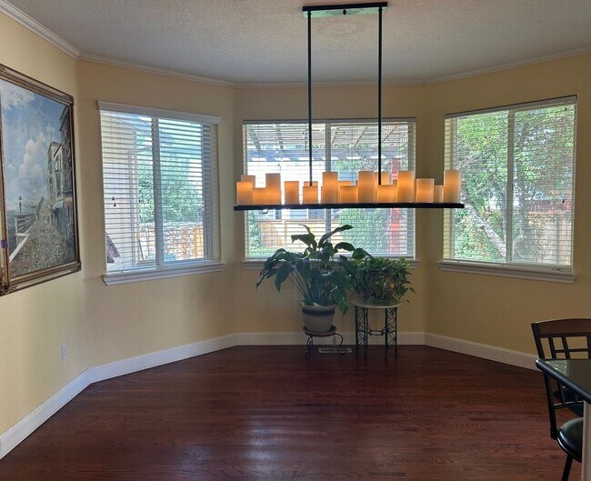 Building Photo - Rare & Exceptional 6-BR Bethany Home on Cu...