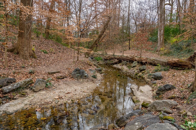 Enjoy the creek and scenery inside Ansley Park.