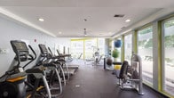 The fitness center at 3946 Lindell Blvd offers a thoughtfully designed, single-floor workout facility that balances functionality with a modern aesthetic. The space is defined by its striking curved wall of floor-to-ceiling windows, which flood the interior with abundant natural light and provide open views of the surrounding outdoor courtyard and neighboring architecture. Bold chartreuse-yellow accent walls and trim add a vibrant, energizing contrast to the neutral gray tones throughout the space.

The main workout area features durable rubber flooring and is well-stocked with a row of cardio equipment, including treadmills and elliptical machines from Matrix and other leading brands. A dedicated strength training zone offers cable machines, adjustable benches, and a full dumbbell rack, while stability balls and functional training accessories are neatly organized along the walls. Ceiling fans and recessed lighting maintain a comfortable environment throughout.

A secondary room houses an interactive Nexersys boxing trainer alongside additional functional fitness equipment, providing a more private training option. A water fountain station and storage shelving are conveniently positioned within the main area. Overall, the fitness center delivers a bright, well-organized, and fully equipped environment suited for a wide range of workout routines.