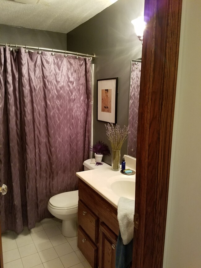 Bathroom - 135 Viking Dr E
