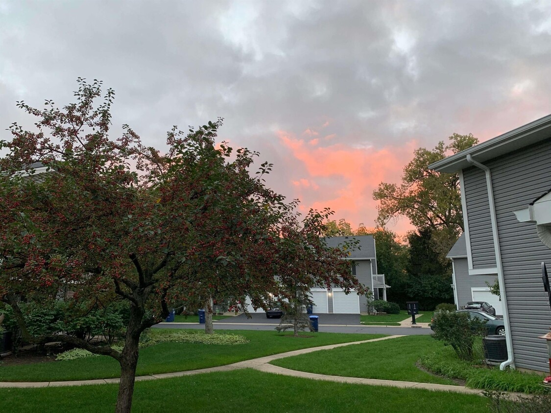 1339 Barclay Ln, Deerfield, IL 60015 Townhome Rentals in Deerfield IL