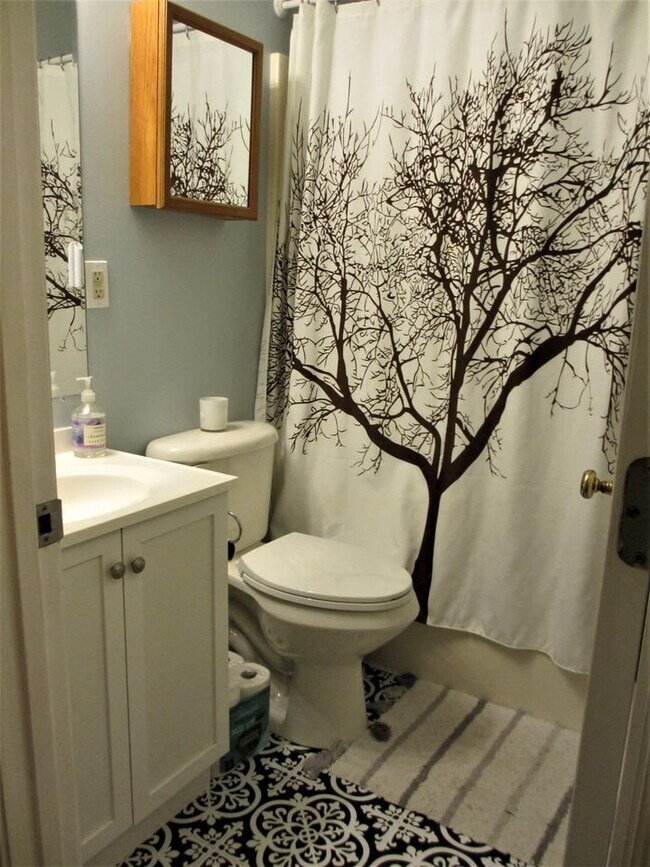 Baño privado completo con bañera y ducha. - 146 Brandywine Ct