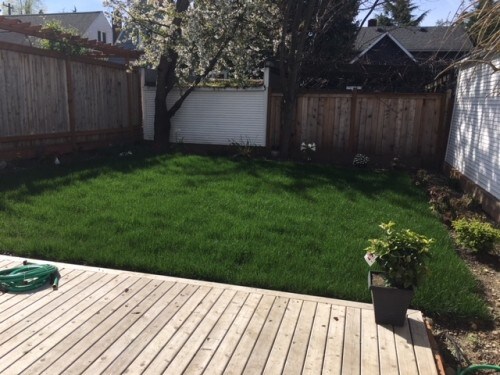 Foto del edificio - Maple Leaf Tudor 507 - 3 bedrooms + den