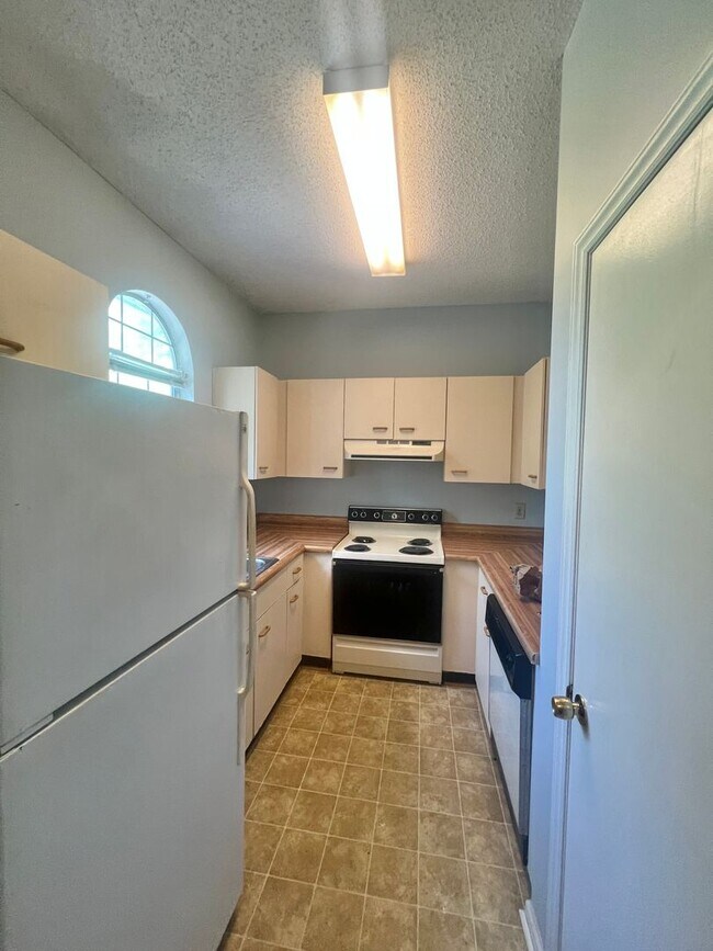 Foto del edificio - 1BR Central College Rd across from UNCW. C...