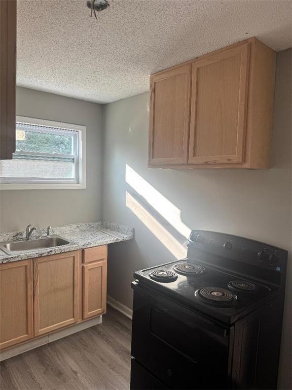 Foto del edificio - 4386 Rhinehart Ln