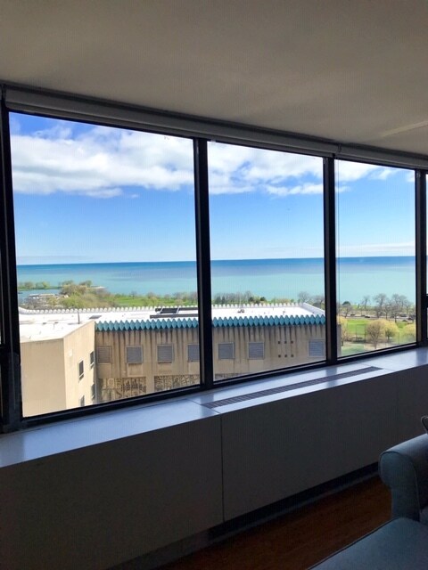 Building Photo - 2800 N Lake Shore Dr