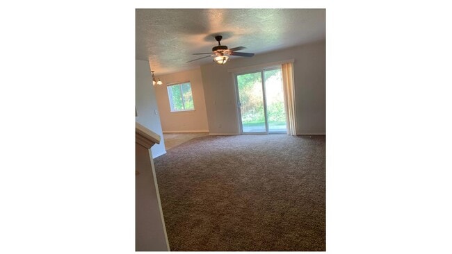 Foto del edificio - 27 S Sugar Loop Ln