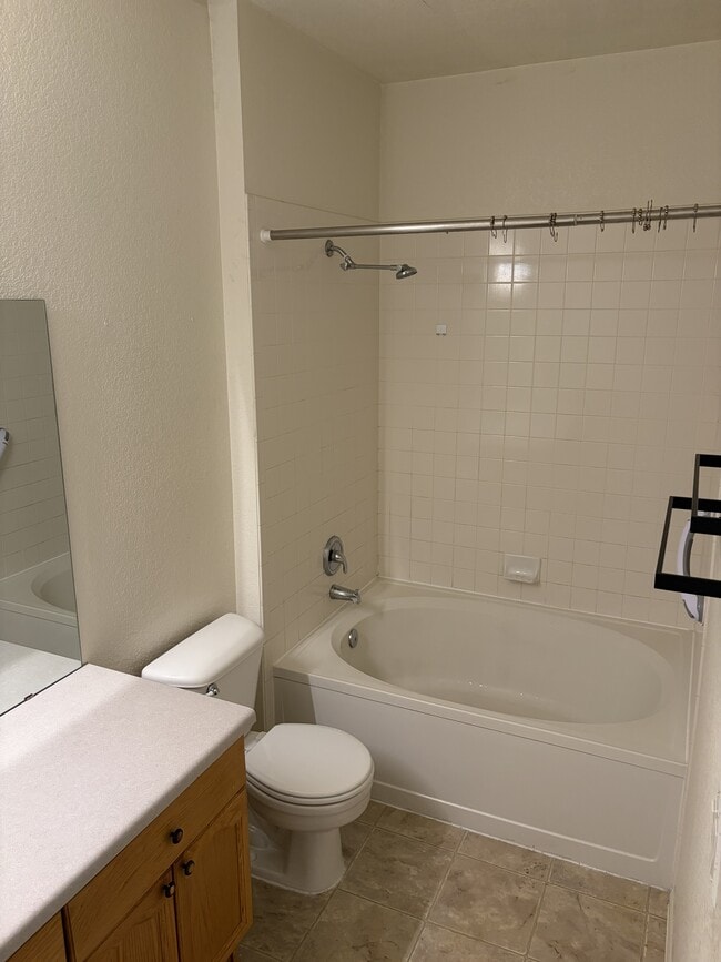Master Bath - 14241 E 1st Dr
