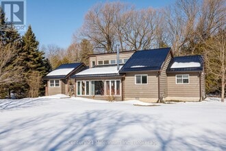 Building Photo - 129 Edward St